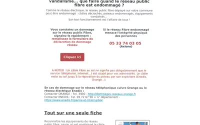 fibre info publique