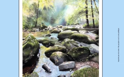 exposition d’art du 26 juillet au 03 août