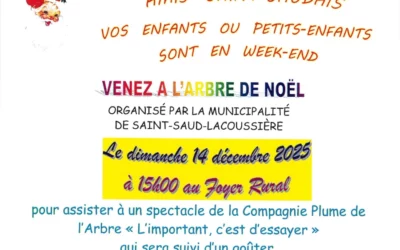 Arbre de Noël, dim 14 déc à 15h